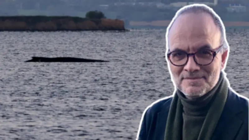 Gestrandeter Buckelwal Timmy: Symbol für ein gespaltenes Land zwischen Aktionismus und Realität