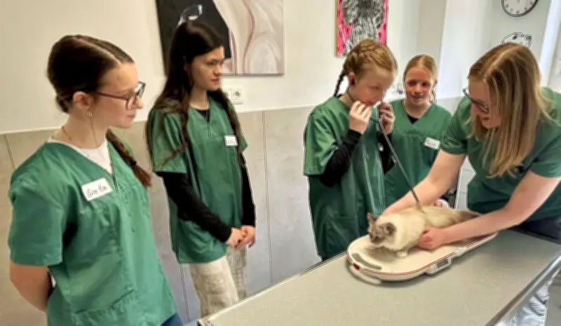Girls' Day in Zeitz: Schülerinnen als Tierarzthelferinnen