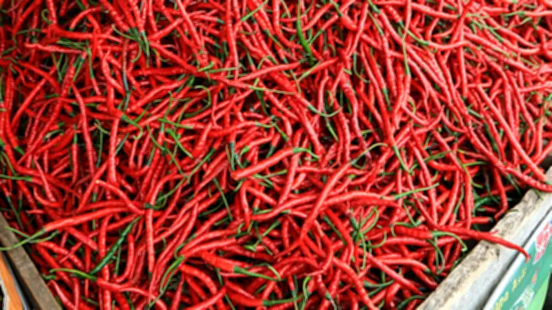 Glassplitter in Gewürzen: Rückruf für Premium-Chili-Set