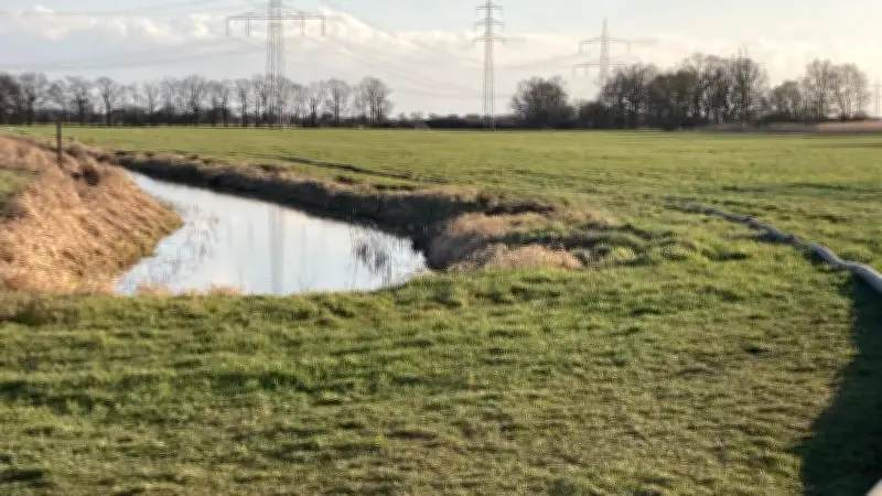 Gülle-Havarie in Gerbisbach: Behörden ermitteln nach Schweinemast-Vorfall