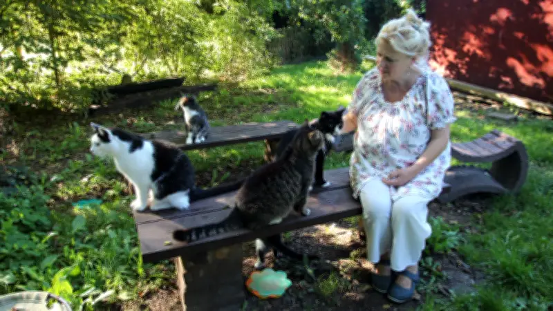 Gnoien sucht nach Lösungen für Katzenhaus nach Pachtende