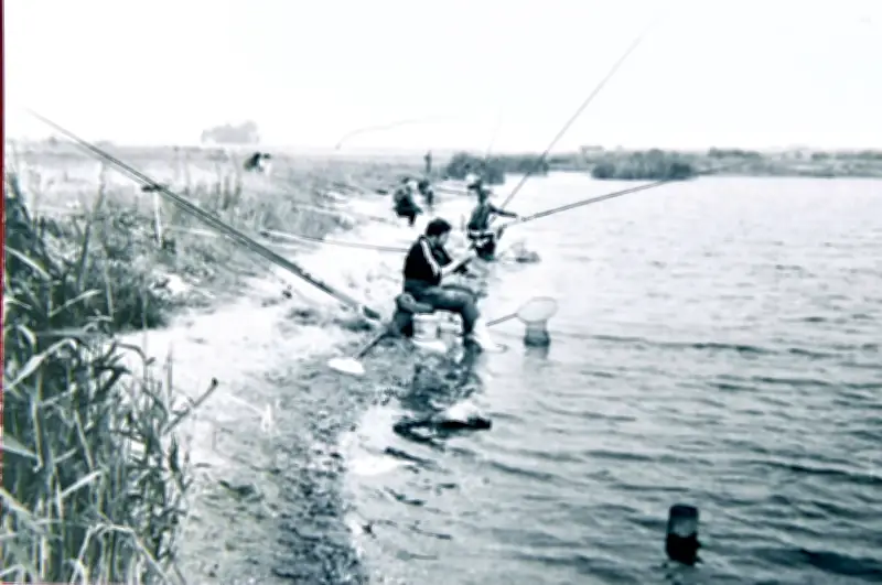 Goldenes Jubiläum: Anglerverein Gröbzig feiert 50 Jahre Vereinsgeschichte mit über 180 Mitgliedern