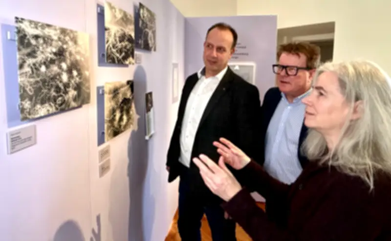 Graue Skabiose im Fokus: Museum Schloss Bernburg zeigt Ausstellung zur seltenen Wildpflanze