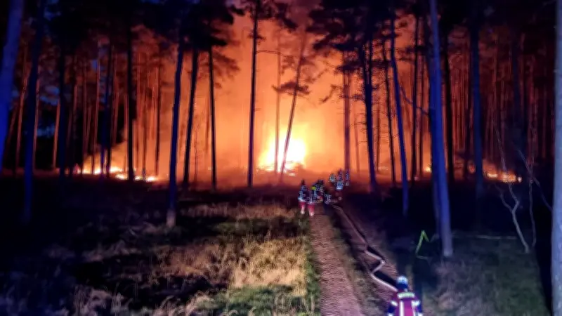 Großbrand bei Dessau-Roßlau: Wald und Holzpolter in Flammen - Feuerwehr im stundenlangen Einsatz
