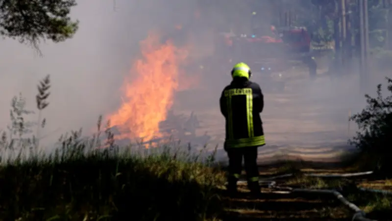Großbrand im Stadtwald Hohenlanke: Feuerwehr verhindert Ausbreitung nahe Seniorenheim