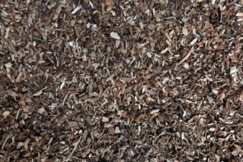 Großbrand in Oetzen: Hackschnitzellager und Heizwerk in Flammen - 500.000 Euro Schaden