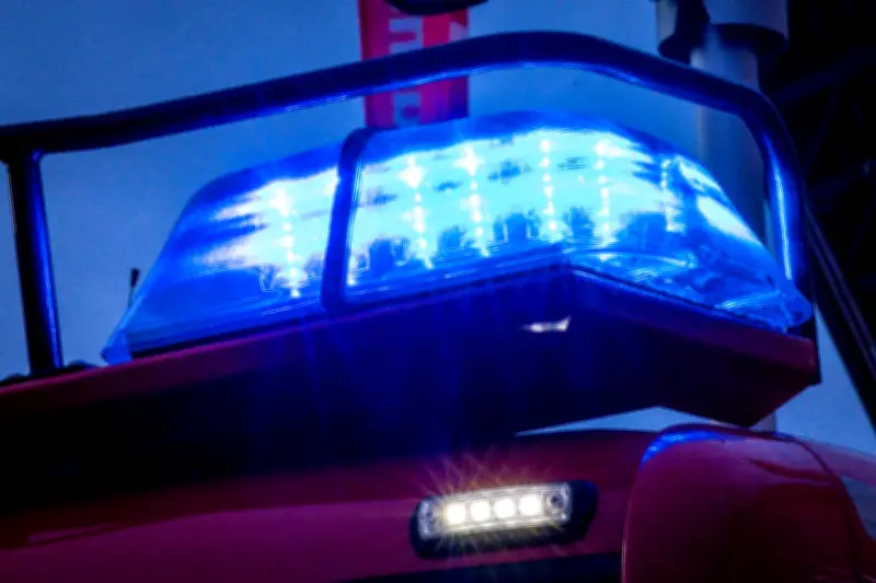 Großbrand in Torfverarbeitungshalle bei Vechta verursacht 500.000 Euro Schaden