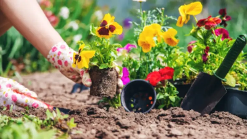 Gärtnern für die Vase: So planen Sie ein perfektes Schnittblumenbeet im eigenen Garten