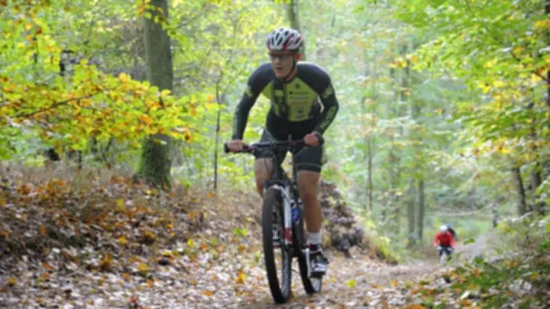 Güstrow sucht Sportler des Jahres 2025: Vorschläge für Ehrung jetzt möglich