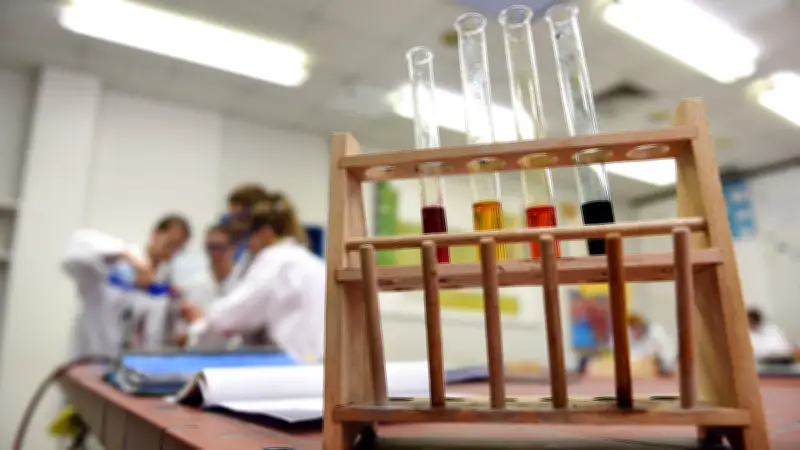 Gymnasien in MV: Weniger MINT-Leistungskurse bereiten Sorge