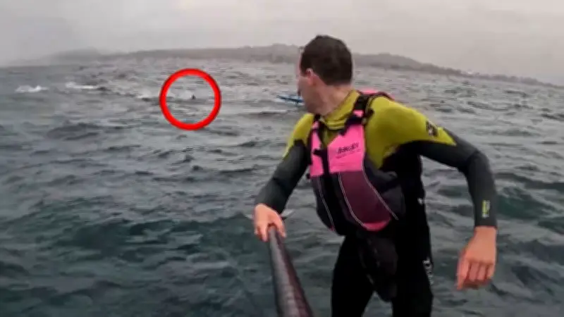 Hai jagt Surfer zehn Minuten lang vor Kalifornien