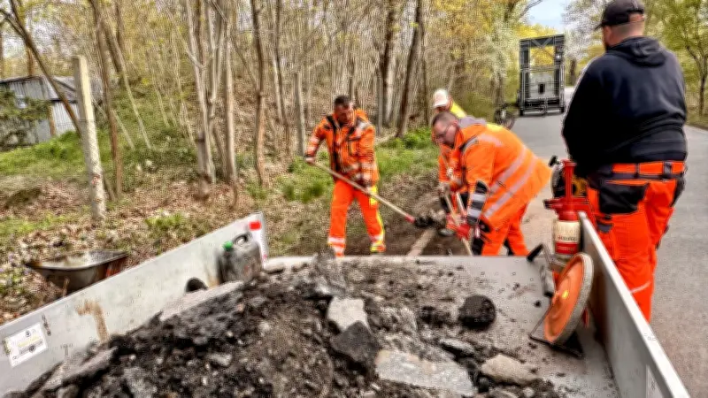 Halle: Frust über Schlaglöcher eskaliert - Arbeiter werden als 'faule Schweine' beschimpft
