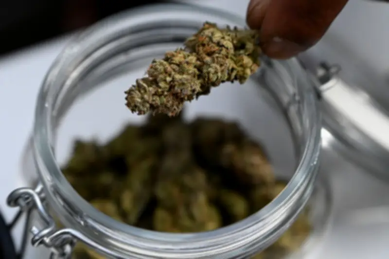 Halle: Polizei fasst mutmaßliche Drogenhändler - Waffen und Bargeld sichergestellt