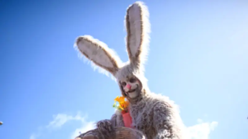 Hameln: Kostümbildner Enrico Lein hoppelt als XXL-Osterhase durch deutsche Einkaufszentren