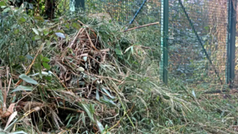 Handgreiflicher Streit auf Campingplatz in Colbitz wegen illegaler Grünschnitt-Entsorgung