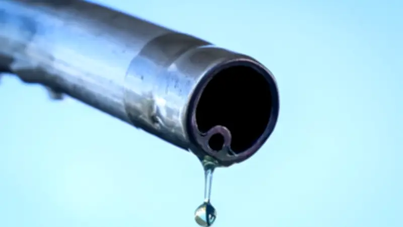 Höchstpreise für Diesel und Benzin: Die Chance für mutige Klimapolitik endlich nutzen