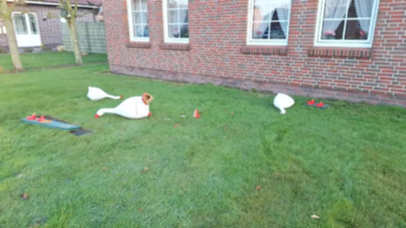 Herzloser Vandalismus: Gänse-Figuren von Rentner Ludwig Smidt in Marienhafe zerstört