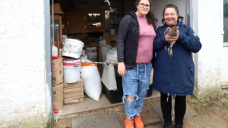 Hofflohmärkte in Hohenbollentin und Neu-Kentzlin locken mit Raritäten und lebendigen Tieren