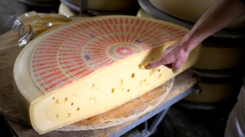 Hofkäsereien in Mecklenburg-Vorpommern starten mit Aktionstag in die Käsesaison