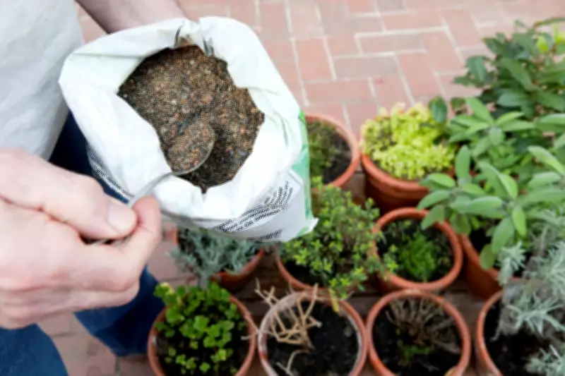 Hornspäne als Dünger: Nachhaltige Gartenpflege oder tierisches Nebenprodukt?