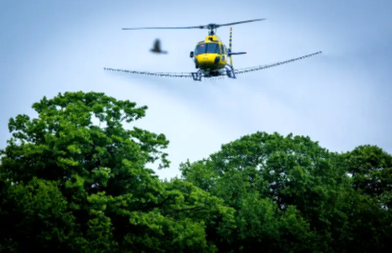 Hubschrauber gegen Eichenprozessionsspinner: Luftangriff auf Raupenplage im Altmarkkreis