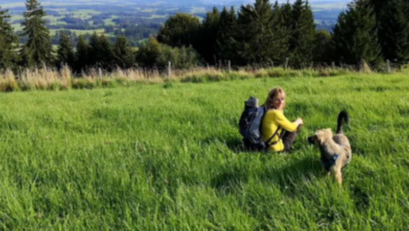 Hundefreundliche Wanderungen bei München: Vier Routen für Vierbeiner