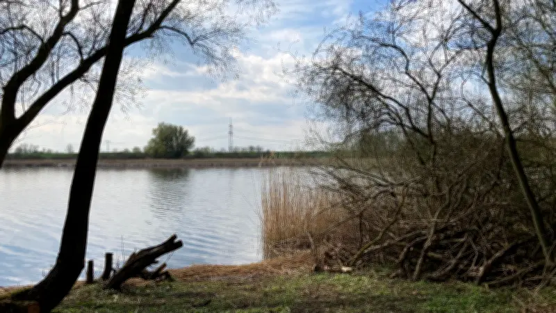 Illegale Badestelle am Lübkower See: Bäume gefällt, Schilf zerstört