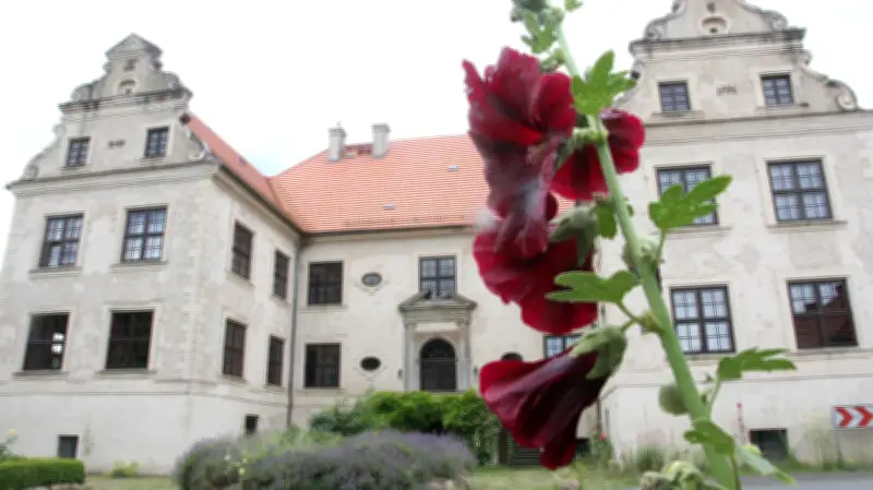 Influencer-Tour für Vorpommerns Gutshäuser: InstaWalk soll historisches Erbe digital erlebbar machen