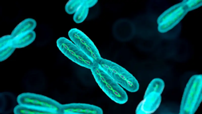 Interview: Mutter berichtet über Angelman-Syndrom-Diagnose bei ihrem Sohn