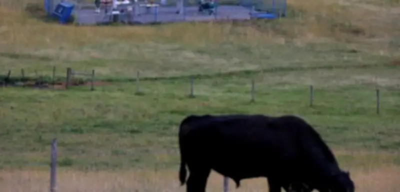 Kanada baut Gaspipeline für Asien-Exporte aus