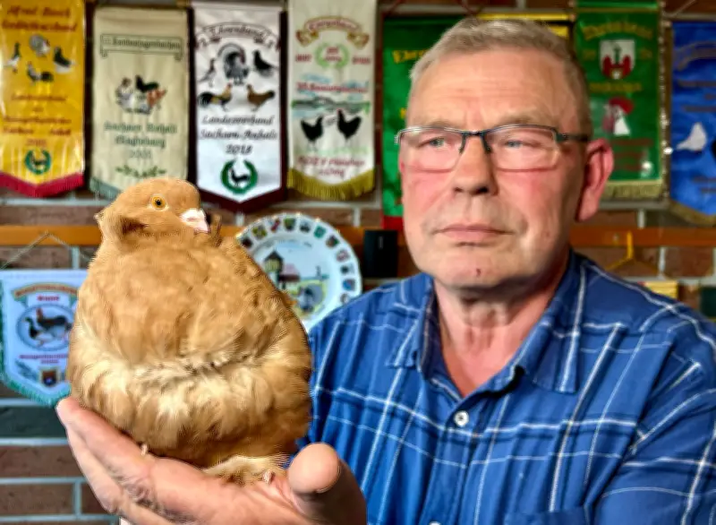 Karl-Heinz Pankrath aus Gerbitz krönt sich mit Chinesentauben zum Deutschen Meister