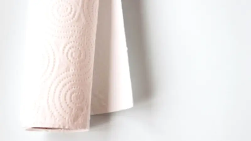 Küchenrolle richtig entsorgen: Biomüll statt Altpapier