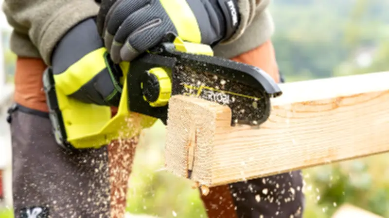 Kettensägen-Schreck in Prignitz: Autofahrerin erschrickt und kollidiert mit Baum