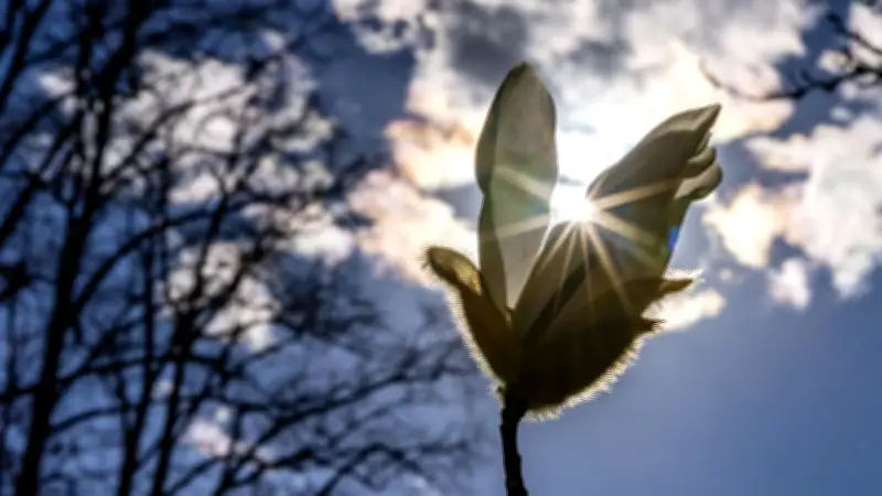 Kühles Frühlingswetter mit hoher Pollenbelastung: Experten warnen