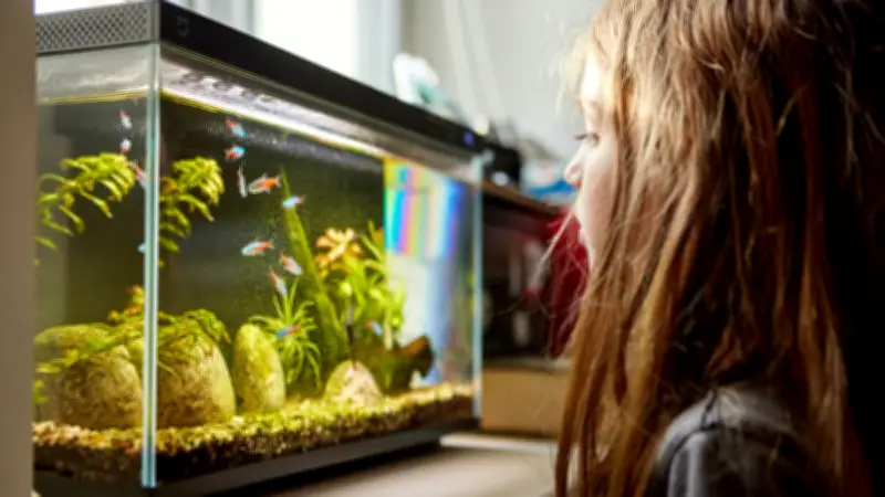 KI-Aquarium putzt und füttert automatisch – nie mehr putzen?