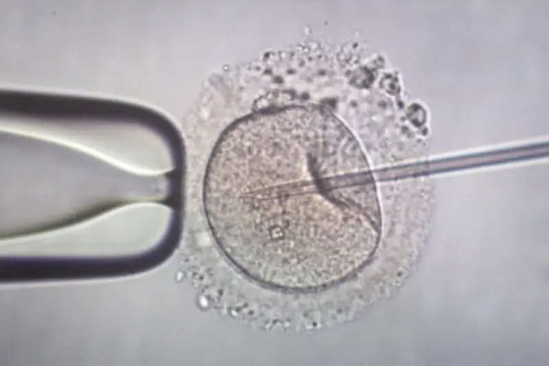 Kinderwunsch in Sachsen-Anhalt: Förderanträge brechen ein - Finanzielle Hürden als Hauptgrund