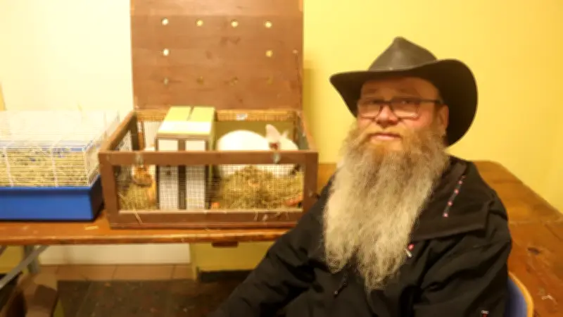 Kleintiermarkt in Züsedom: Kaninchen und Tauben erlaubt, Hühner verboten