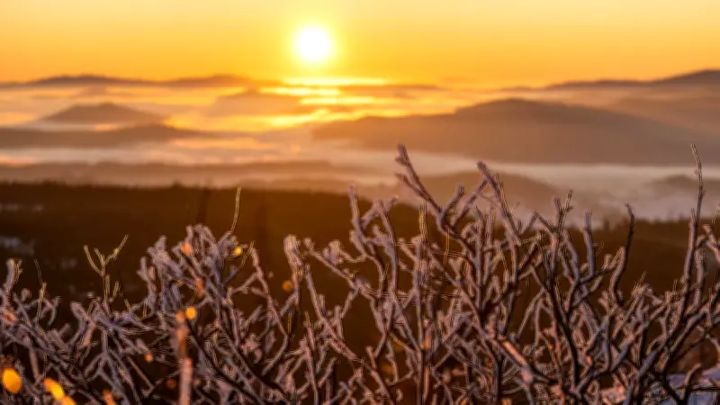 Kältewelle kommt früher: Eisheiligen verlieren an Bedeutung durch Klimawandel