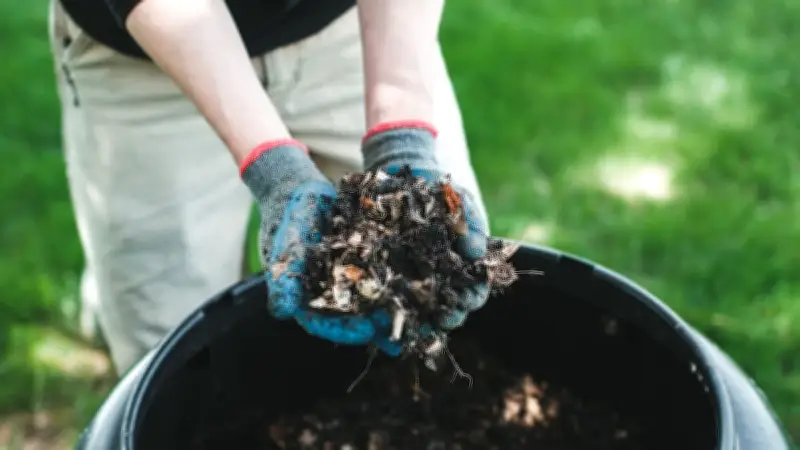 Kompost im Garten: Warum der beliebte Dünger für manche Pflanzen schädlich sein kann