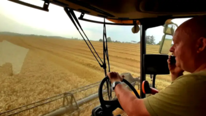 Kostenexplosion in der Landwirtschaft: Höfe kämpfen ums Überleben