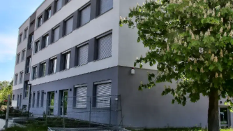 Kreisarchiv verlässt ehemalige Sekundarschule: Neue Nutzung für Rosarium-Gebäude in Sangerhausen