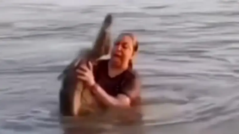 Krokodil-Alarm in mexikanischer Lagune: Frau spürt gefährlichen Begleiter beim Baden