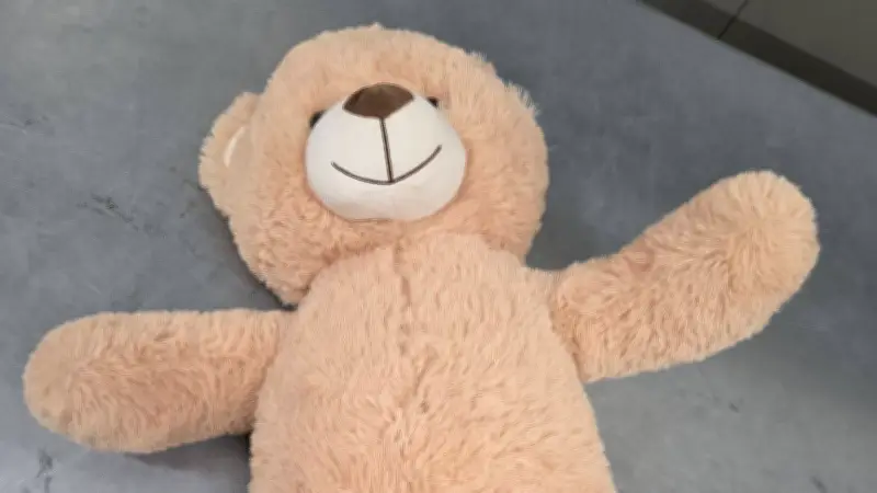 Kuschelinspektion enttarnt Geldtransport: 50.000 Euro in Teddybär versteckt