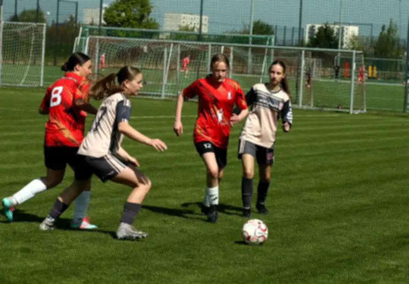 Landespokal der Frauen: HFC gegen Germania Wernigerode live im Stream