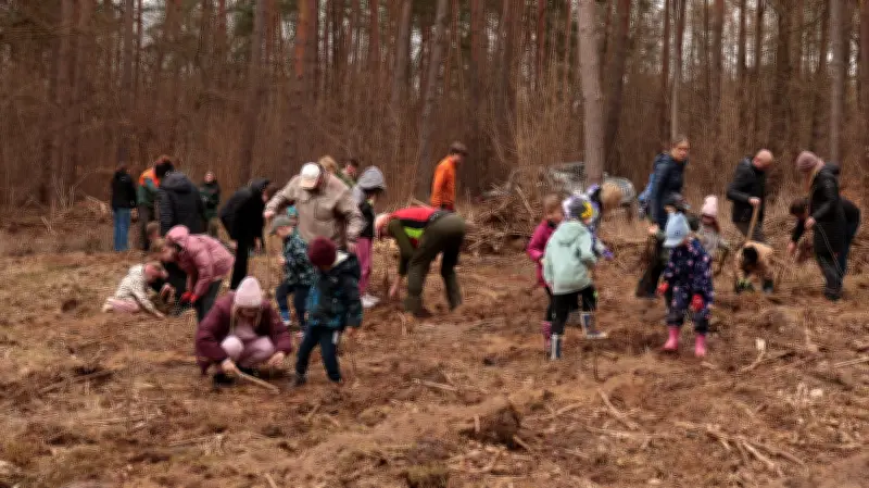 Löcknitzer Kita-Kinder pflanzen 1000 Eichen für klimastabilen Mischwald