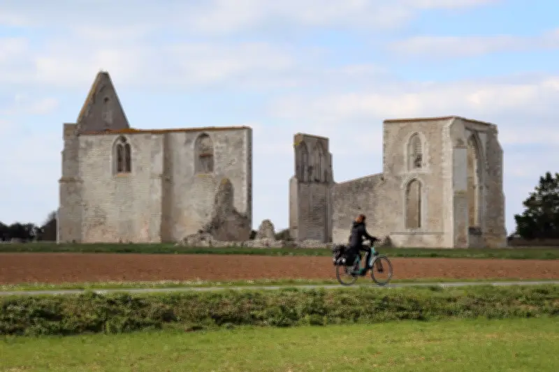 Île de Ré: Gourmet-Paradies im Atlantik - Wo Salz, Algen und wilder Pfeffer gedeihen