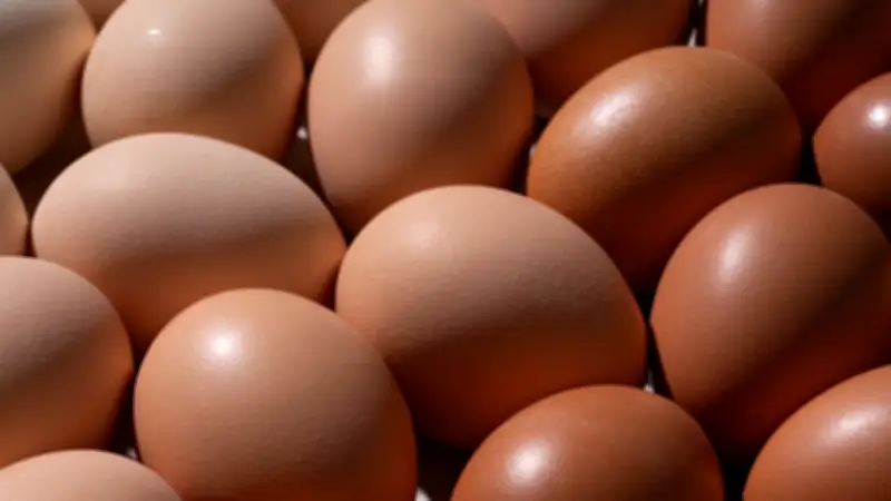 Lebensgefährlicher Eierkocher: Temu ruft Produkt zurück - Stromschlag-Risiko!