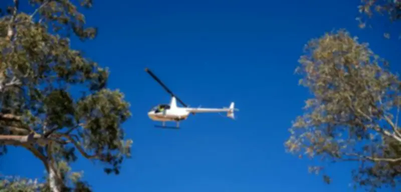 Leichenfund in Australien: Vermisste Fünfjährige tot – Tatverdächtiger in Haft