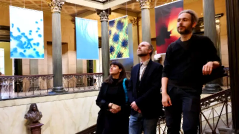 Licht im Gehirn: Forschung in Halle verändert menschliches Verhalten