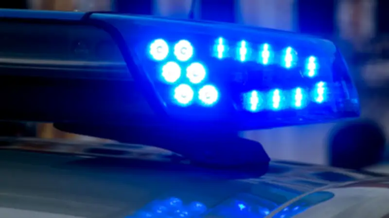 Lkw-Brand auf A14: 23 Tonnen Himbeeren in Flammen aufgegangen